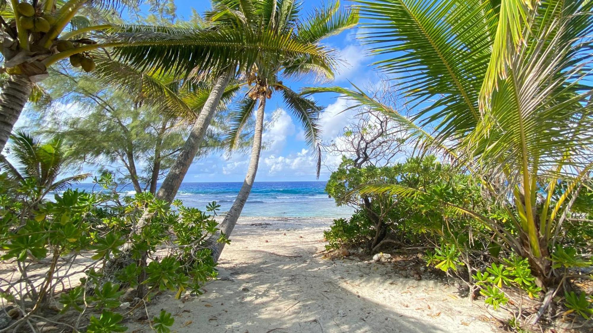 Moorea Chill And Beach Lodge Teavaro Extérieur photo